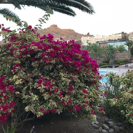 Amazing - Pool And Garden - At 50 Mt, Апартаменты Плая-дель-Кура